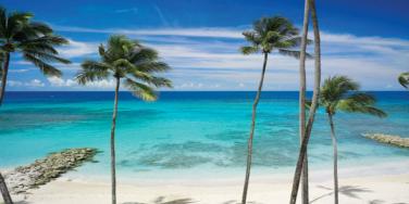 Saint Peters Bay Luxury Resort, Barbados -  1